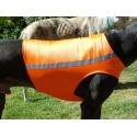 Windhund Warn-, Renn- und Tobeweste in orange, 5 Größen lieferbar