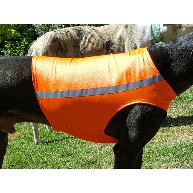 Windhund Rennweste orange Sicherheitsweste Hunde orange