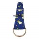 Zugstopp-Halsband, Windhundhalsband Froschkönig, Hundhalsband mit Fröschen und Sternen