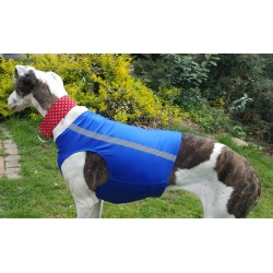 Windhund Warn-, Renn- und Tobeweste in royalblau, 5 Größen lieferbar